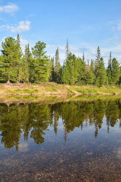 Sitio del Patrimonio Mundial de la UNESCO Bosques vírgenes de Komi