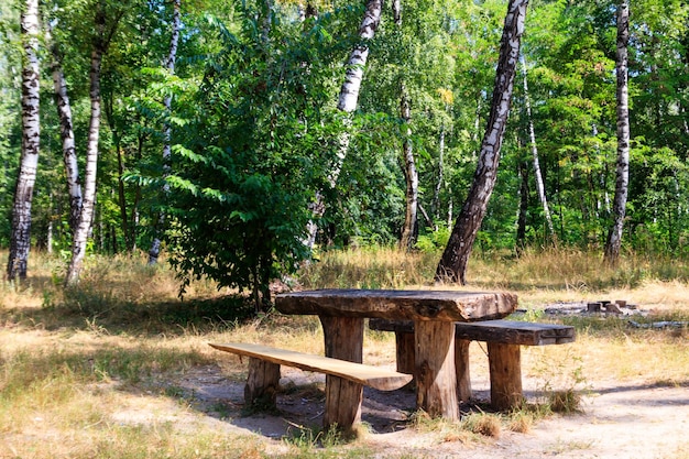 Sitio de picnic en el bosque de abedules Mesa de madera y bancos en el bosque de abedules