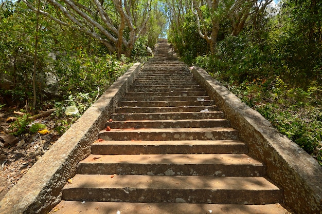 Sitio sagrado de Mihintale en Sri Lanka, cerca de Anuradhapura