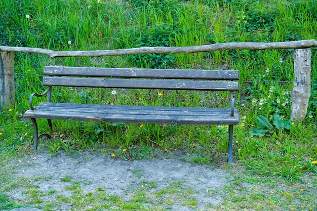 Sitzbank im Sommerpark mit altem Baumbestand und Fußweg
