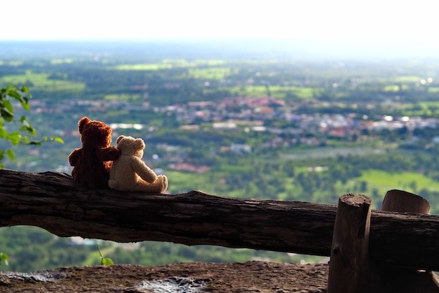 Sitzen und Sonnenunterganghintergrund mit zwei Spielzeugbären.