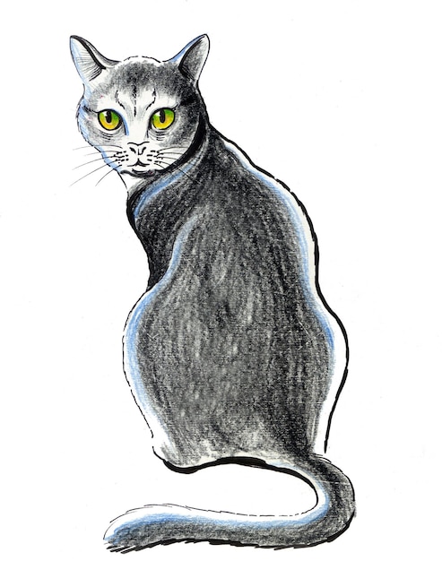 Sitzende graue Katze. Tusche- und Bleistiftzeichnung