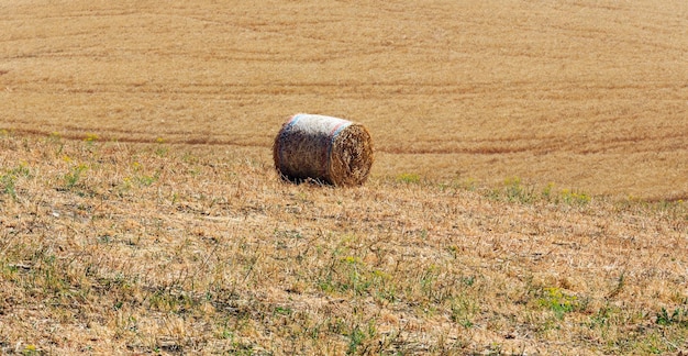 Sizilien Sommerlandwirtschaft Italien