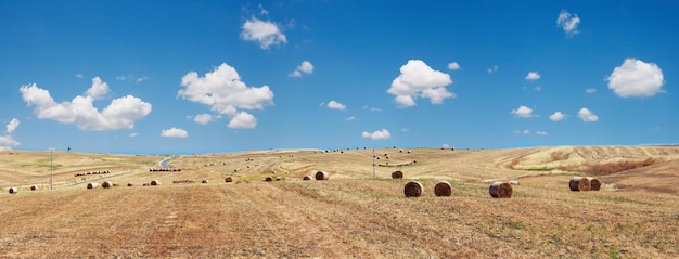 Sizilien Sommerlandwirtschaft Italien