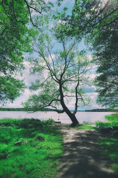 Skandinavische schöne Landschaft