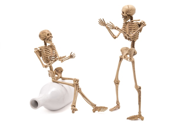 Skeleton Talk grüßt sich