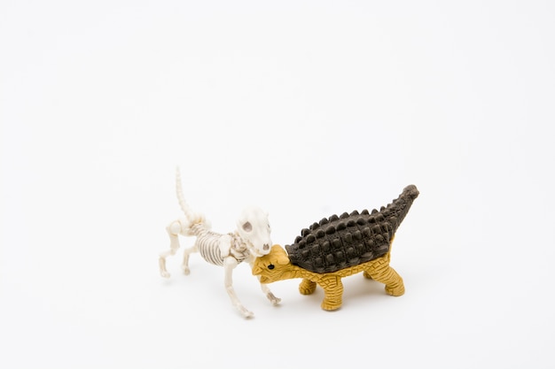 Skeletthund und Ankylosaurus, Freundschaftsbeziehung