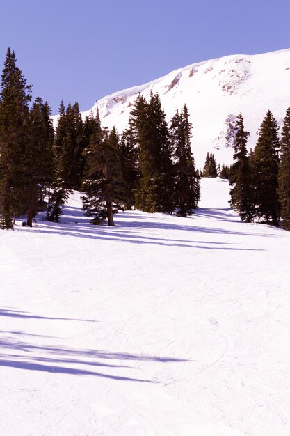 Skifahren im Skigebiet Loveland, Colorado.