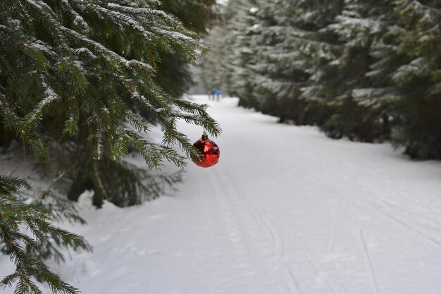 Skifahrer auf einer Skipiste