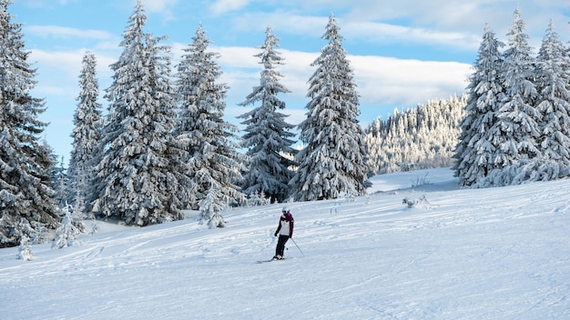 Skifahrer fahren auf einer Skipiste in den Karpaten im Winter Rumänien