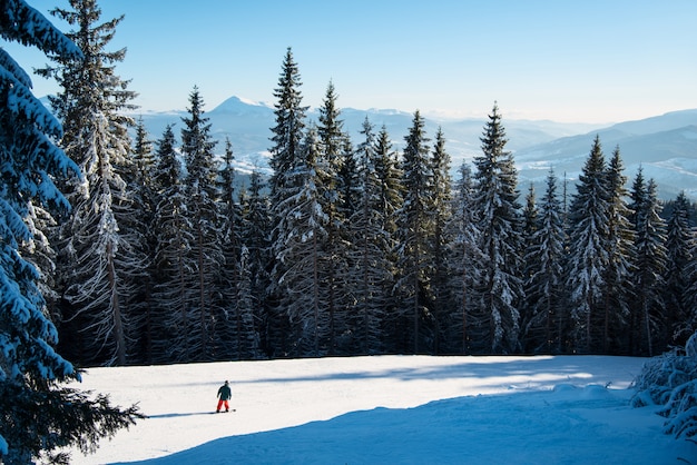 Skifahrer fahren auf Neuschnee