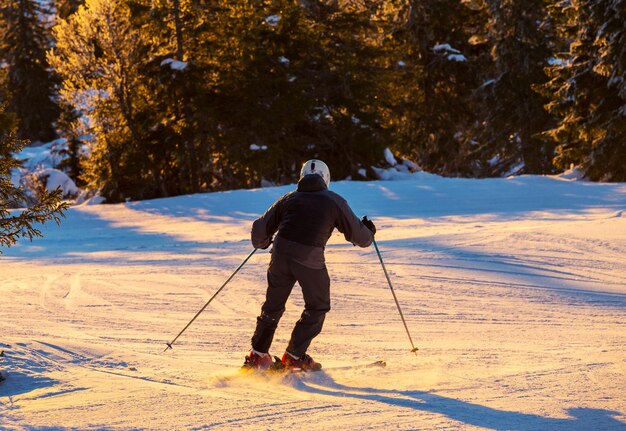 Skifahrer