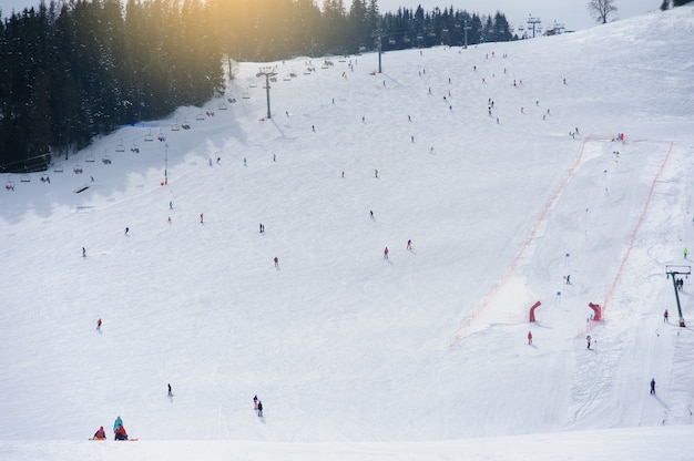 Skigebiet. Blick bergab. Skifahrer.