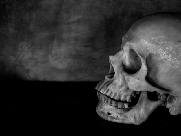 Skull Hintergrund