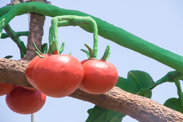 Skulptur von riesigen Tomaten auf einem Baum