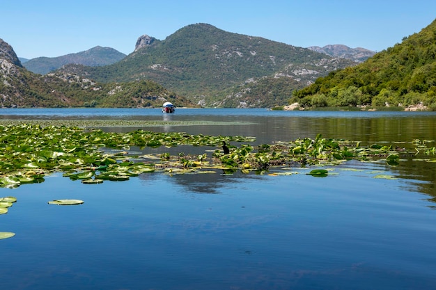 Skutarisee und die umliegenden Berge Montenegro