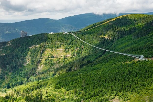 Sky Bridge 721 ist die längste Hängebrücke zwischen zwei Hügeln im Wald