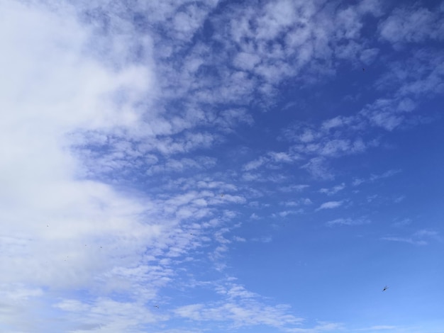 Sky cloudscape con cielo azul y nubes blancas