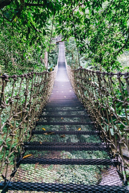 Sky Walk en la selva en Chiang Mai, Tailandia