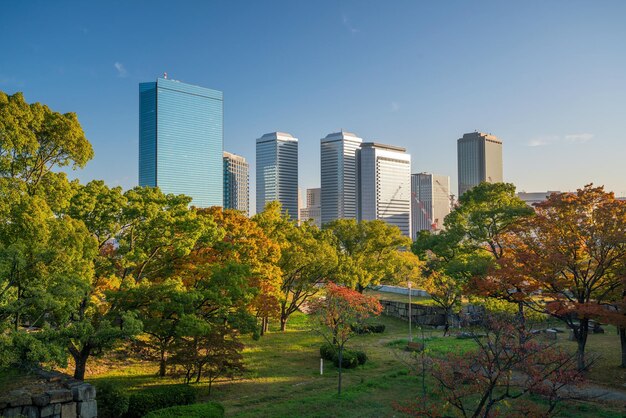 Skyline de la ciudad de Osaka en Japón