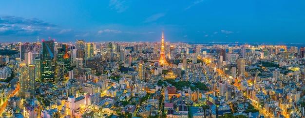 Skyline de tóquio com a torre de tóquio no crepúsculo no japão