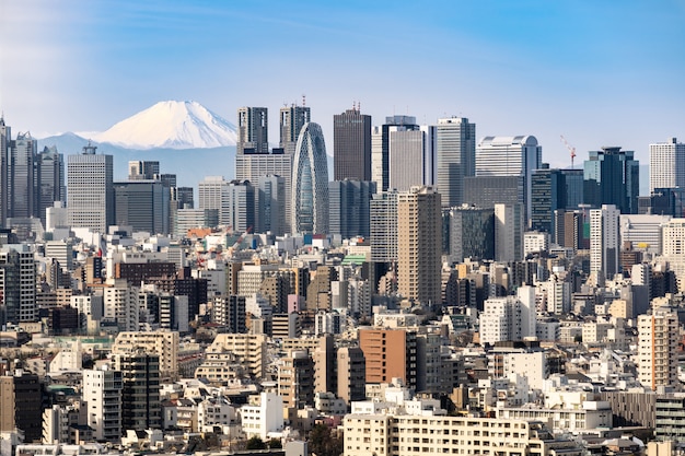 Skyline do tóquio e montanha fuji em japão.