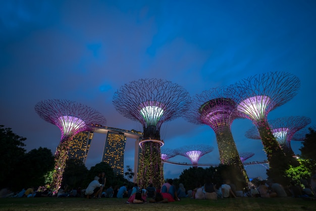 Skyline nocturno de Singapur en los jardines junto a la bahía