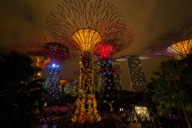 Skyline nocturno de Singapur en los jardines junto a la bahía