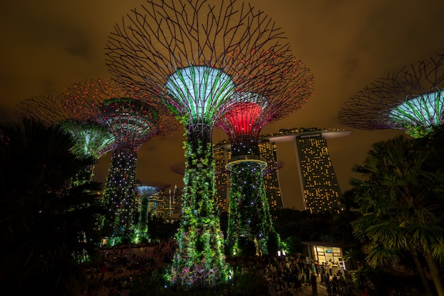 Skyline nocturno de Singapur en los jardines junto a la bahía