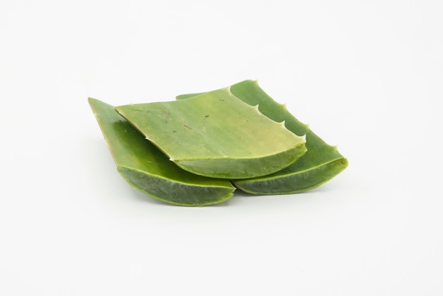 Slice Aloe Vera ist eine sehr nützliche Kräutermedizin