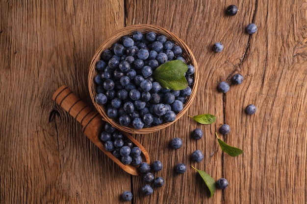 Sloes