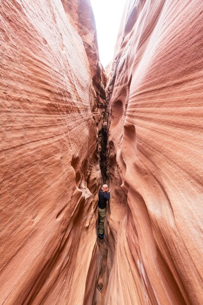 Slot Canyon im Grand Staircase Escalante Nationalpark, Utah, USA. Ungewöhnliche bunte Sandsteinformationen in den Wüsten Utahs sind ein beliebtes Ziel für Wanderer.