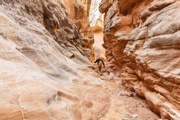 Slot Canyon im Grand Staircase Escalante Nationalpark, Utah, USA. Ungewöhnliche bunte Sandsteinformationen in den Wüsten Utahs sind ein beliebtes Ziel für Wanderer.