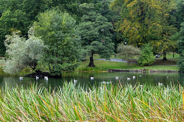 Slottsskogen Park Gotemburgo, Suécia em setembro