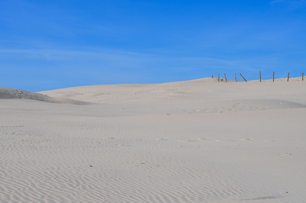 Slovinski Nationalpark Leba Sanddüne an der Ostseeküste Polens Europa