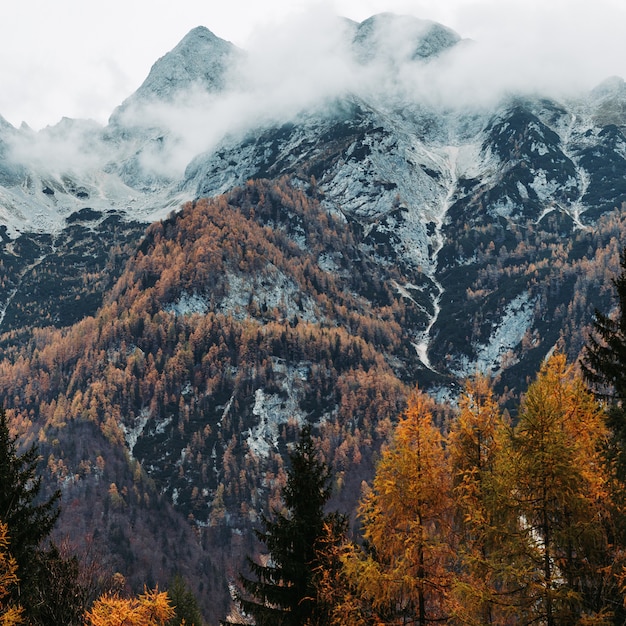 Slowenische Alpen in der Herbstsaison mit bunten Bäumen