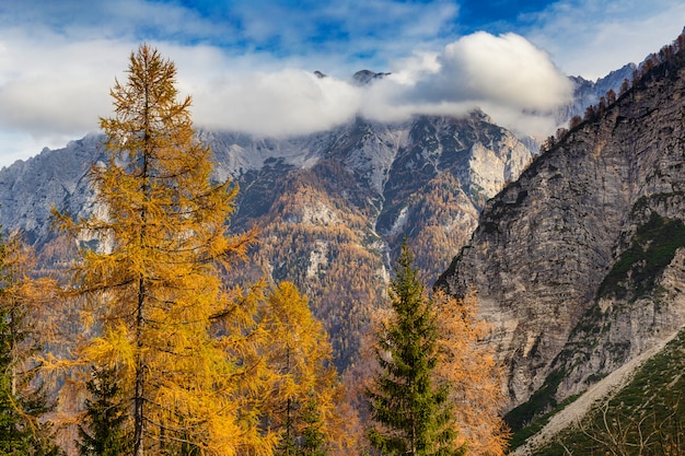 Slowenische Alpenansicht in der Herbstsaison mit bunten Bäumen und bewölktem blauem Himmel