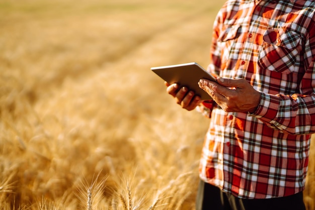 Smart Farm Bauer mit einem Tablet in den Händen auf einem landwirtschaftlichen Feld Erntekonzept