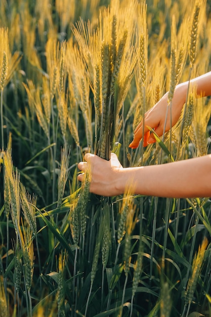 Smart Farm Landwirt mit Tablet auf dem Feld Landwirtschaft Gartenbau oder Ökologie Konzept Ernte Agrogeschäft