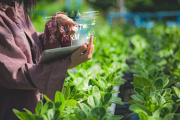 Smart Farm viene a ayudar con la agricultura moderna automático preciso inteligente con tecnología de IA