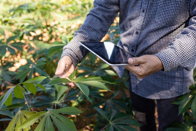 Smart Farmer Ein asiatischer Mann analysiert mit einem Tablet die Pflanzen, die er tagsüber in seinem Betrieb anbaut.