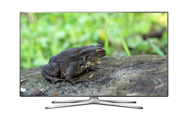 Smart tv aislado con rana en pantalla