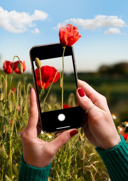 Foto smartphone im naturkonzept