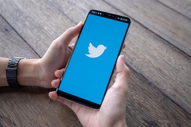 Smartphone con logo de Twitter en pantalla.