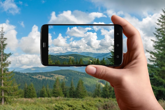 Smartphone en mano fotografía la naturaleza en la pantalla