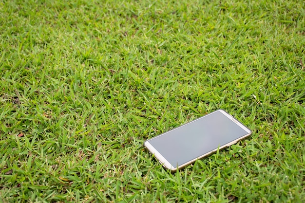 Smartphone-Tropfen auf grünem Gras im öffentlichen Park.
