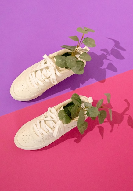 Foto sneakers brancos com galhos de eucalipto em fundo rosa