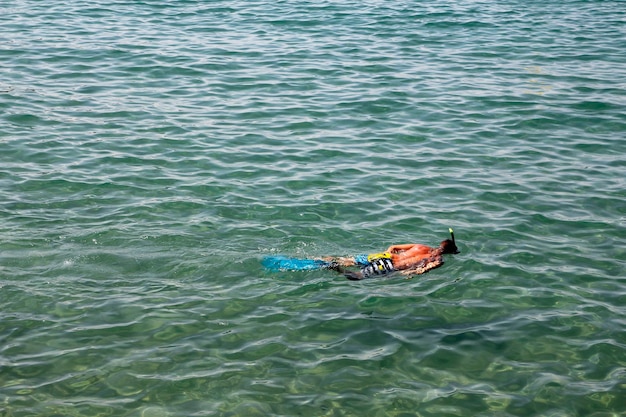 Snorkel en la costa