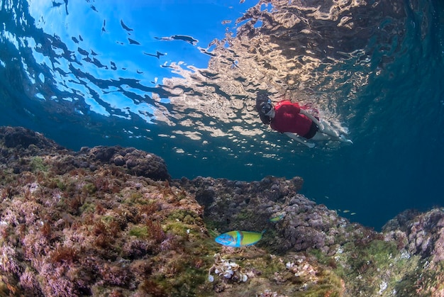 Foto snorkel en el mar mediterráneo