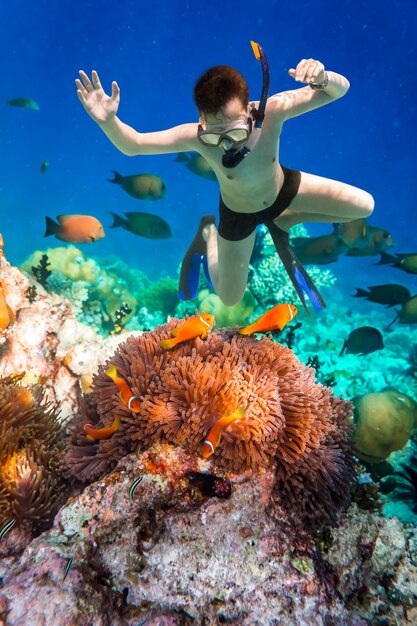 Snorkeler buceando a lo largo del coral cerebro. Arrecife de coral del Océano Índico de Maldivas.